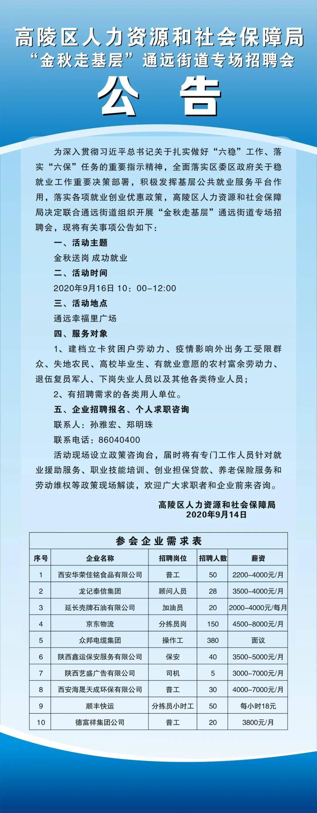 大荔县双休工作机会解析，最新招聘概览