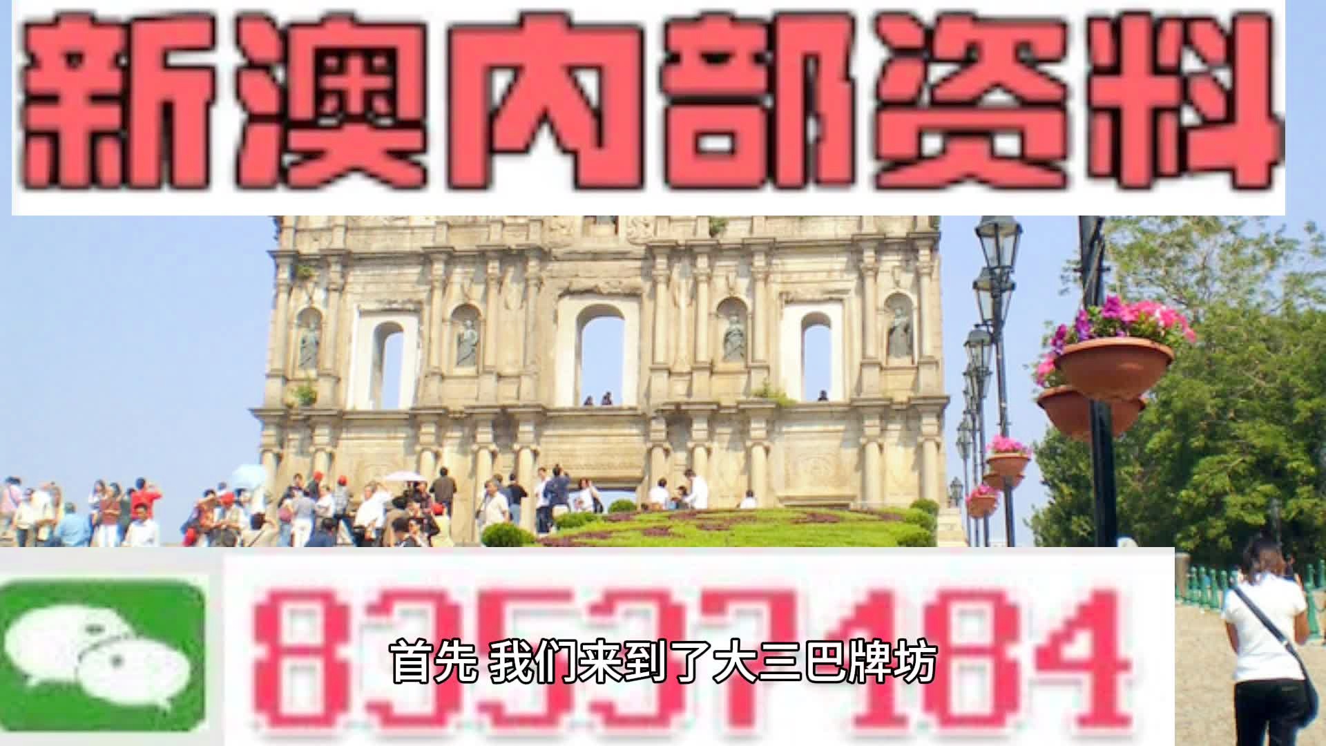 新澳2024年精准一肖一码,数据资料解释落实_纪念版5.555