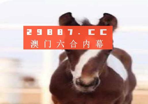 澳门一肖一码一持一中,机构预测解释落实方法_精英版201.123