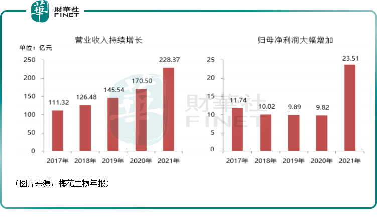 梅花生物股票最新动态全面解析